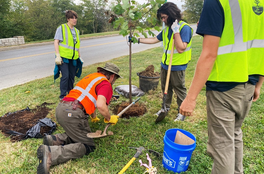 Residential Tree Grant City of Merriam