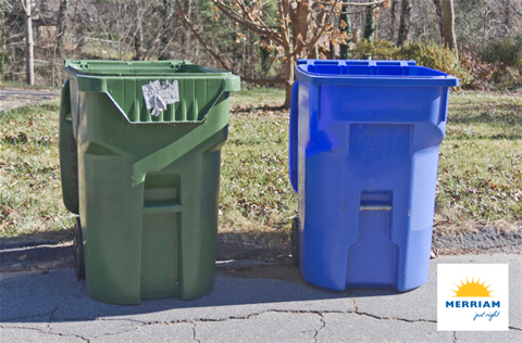 A green trash bin and a blue recycle bin at the end of a curb.